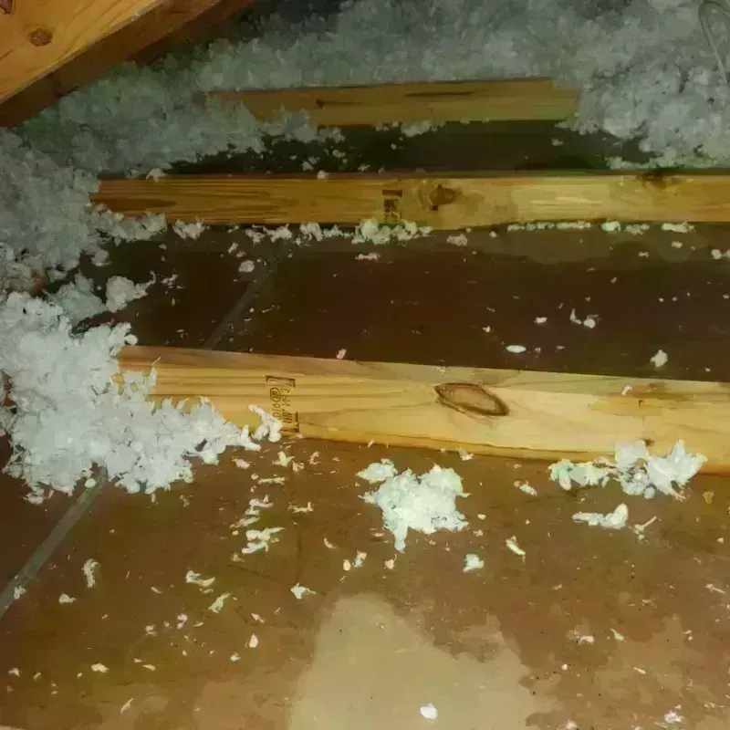 Attic Water Damage in Charleston, IL