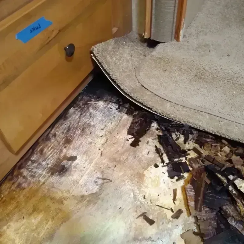 Best Wood Floor Water Damage Service in Charleston, IL